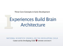 Experiences Build Brain Architecture