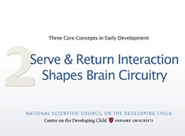 Serve & Return Interaction Shapes Brain Circuitry